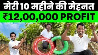 10 महीने में ₹12 लाख का PROFIT? Indian Farmer Grapes Farming Profit