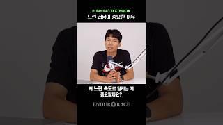 느린 달리기가 중요한 이유 - 마라톤 완주 포인트