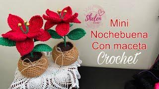 Mini nochebuena en maceta🪴🪅CROCHET #nochebuena #flordenavidad#pascua,#flordepascua,#poncetia