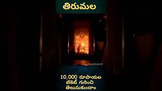 10000 Rs darshan in tirumala #tirumala #tirupati #tirupatibalaji #ttd #viral #trending #shorts