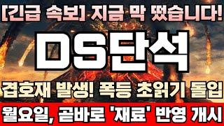 [DS단석 주가전망][긴급] 고점 대비 주가 반토막난 자리에서 최대거래량 발생! 주포 세력, 싸게 확보한 무상증자 신주 물량 지금부터 본격적으로 올리며 팔아먹는다! DS단석완벽분석