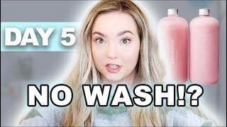 How I refresh my OILY hair *WITHOUT WASHING*