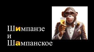 Шимпанзе и шампанское. Ш-ш-ш