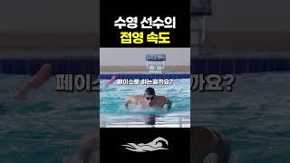 수영 선수 접영 속도