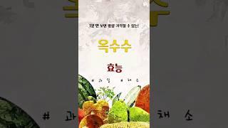 ‼️1분 만에 옥수수의 효능에 대해 알아보자‼️ #옥수수 #효능 #이상사 #채소