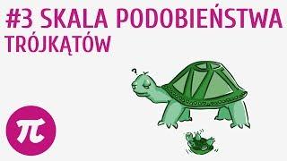 Skala podobieństwa trójkątów #3 [ Podobieństwo wielokątów ]