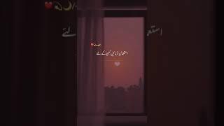 Bewakoof Hai  Islamic Bayan Status   Ajmal Raza Qadri   Shaifa typist #shorts #shaifa typist