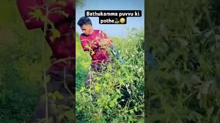 Bathukamma puvvu ki pothe#shorts #comedy #shortvideo