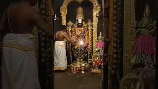 Tirupati Balaji Aarti Darshan || Tirupati || Blessed Morning #tirupati #tirumala