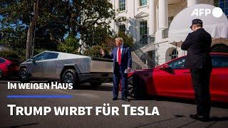 Trump wirbt für Tesla - im Weißen Haus | AFP