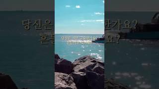 지혜는 고요한 마음에서 온다 #부처님말씀 #법문 #부처님 #명언 #스님 #불교 #절 #buddha #천수경 #반야심경 #금강경 #연꽃