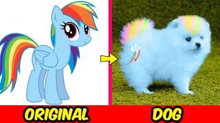 My Little Pony Becomes Dog  MLP If Were Dog