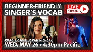 Singing Vocabulary For Beginners | 30 Day Singer