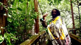 KING RAS PEDRO JUDGMENT A COME OFFICIAL HD VIDEO