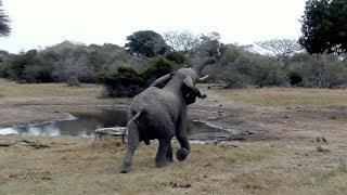 Out of my way!!