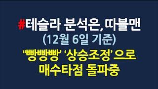 테슬라 분석은, 따블맨_12월6일