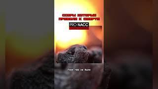 Смотрите на канале https://youtu.be/7MK6W_J-epM