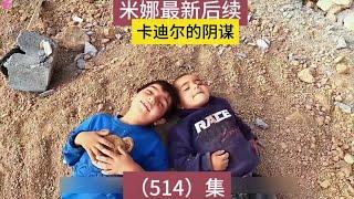 514集｜卡迪尔的阴谋 米娜最新后续#纪录片解说#米娜#游牧生活#伊朗 #游牧民族