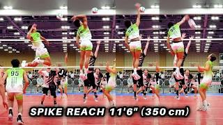 Spike Reach 11'6" (350 cm) | Jalen Phillips (USAV 20224 Volleyball Highlights)