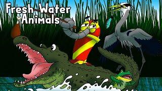 Freshwater Animals - The Reading Road Trip
