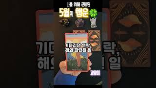 #여림타로 #타로 #타로리딩 #부자되는법 #부의기운 #타로쇼츠 #행운 #현실타로