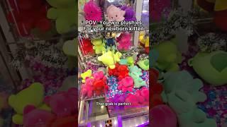 Thank you guys for letting my spoil my little girly #pov #newbornkittens #cat #arcade  #shorts