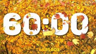 [1 HOUR] 60 Minute Autumn Fall Timer with Relaxing Music 