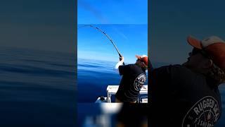 #haddock #groundfish #bottomfishing #fishing #deepsea #gulfofmaine