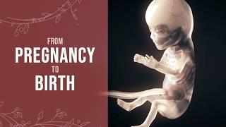 How Sperm Becomes Baby: The Amazing Process Explained!