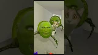 Lin gang melon ate the cameraman P5 #cat #meme #gmod
