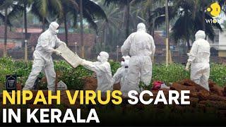 Nipah Virus Kerala LIVE: Indian state of Kerala on high alert to control Nipah outbreak | WION LIVE