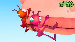 The ANTS And The BIG DROP | Antiks  | Action Cartoons For Kids