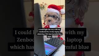 Applying for a job with Santa #noodlesthepooch #asus #intelevo #christmas #officehumor