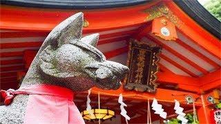 日本香火最旺盛的神社：供奉著狐狸，你想來看看嗎？