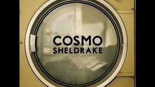 Cosmo Sheldrake - The Moss