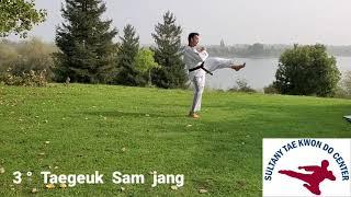 Taekwondo form by Master Sultany Taegeuk Sam jang 3