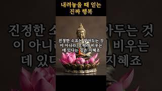 부처님이 알려준 '내려놓을 때 얻는 진짜 행복!'ㅣ부처님 말씀ㅣ불교명언ㅣ #삶의지혜 #불교명언 #인생명언