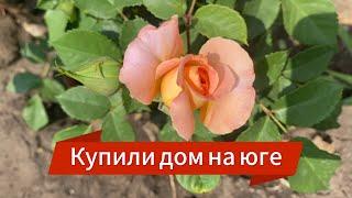 592ч12.06.25-Гость на участке с утра//Клнстантин заливает пол в хозблоке//Высадила подарки))