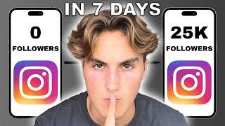 How To GROW On Instagram 2024 | 25k Followers In 7 Days