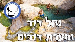 מערת דודים - נחל דוד - מטיילים בארץ