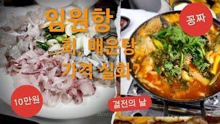 삼척 임원항 회&매운탕 먹어 보고 가격 알아보니