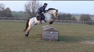 Laddy and Oli Cross Country