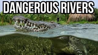 Ranking 9 Of The Most Dangerous Rivers In The World Based On Their Wildlife