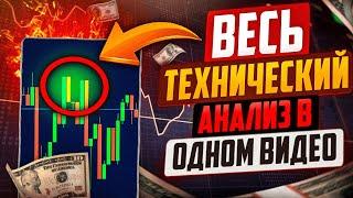 Трейдинг с нуля ПОЛНОЕ ОБУЧЕНИЕ от А до Я! Обучение трейдингу | Трейдинг !