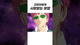 고양이를 반하게 만드는 법