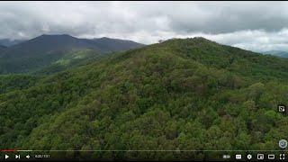 Southern Appalachian Highlands Conservancy - Rooted in the Past, Growing for the Future