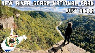 Visiting America’s NEWEST National Park?! New River Gorge NP | West Virginia, USA (2024)