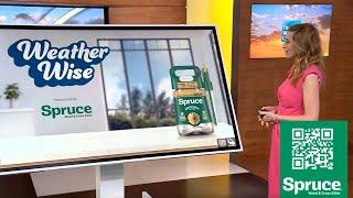 Outdoor Backyard Fun Forecast Presented by Spruce - The Weather Channel