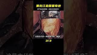 黑龍江挖出金國合葬墓，女墓主身穿絲襪吊帶裙，女子竟是北宋公主 #未解之谜 #考古 #历史 #奇闻 #探秘