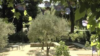 Mediterranean Landscape Design